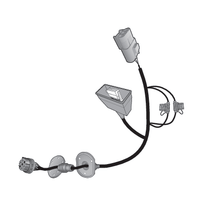 Direct Fit Wiring Harness for Various Tesla Models