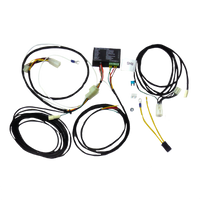 A direct fit wiring harness for a Toyota Rav 4 SUV, including various cables and connectors, against a white background.