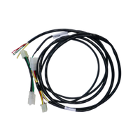 Direct Fit Wiring Harness Hyundai Getz Hatch 09/2002 - 12/2011 UNT295