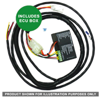 A direct fit wiring harness for Mitsubishi Triton MR Ute, including an ECU box, shown for illustration purposes.
