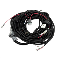 Direct Fit Wiring Harness LDV Deliver 9 Van 07/2020 - On - UNT373