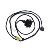 Direct Fit Wiring Harness with Reverse Cut-Out Ford Falcon BA-BF Sedan 10/2002 - 05/2008 UNT201RS